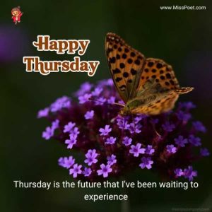 A DAY TO SHINE OF HAPPY THURSDAY IMAGES & QUOTES