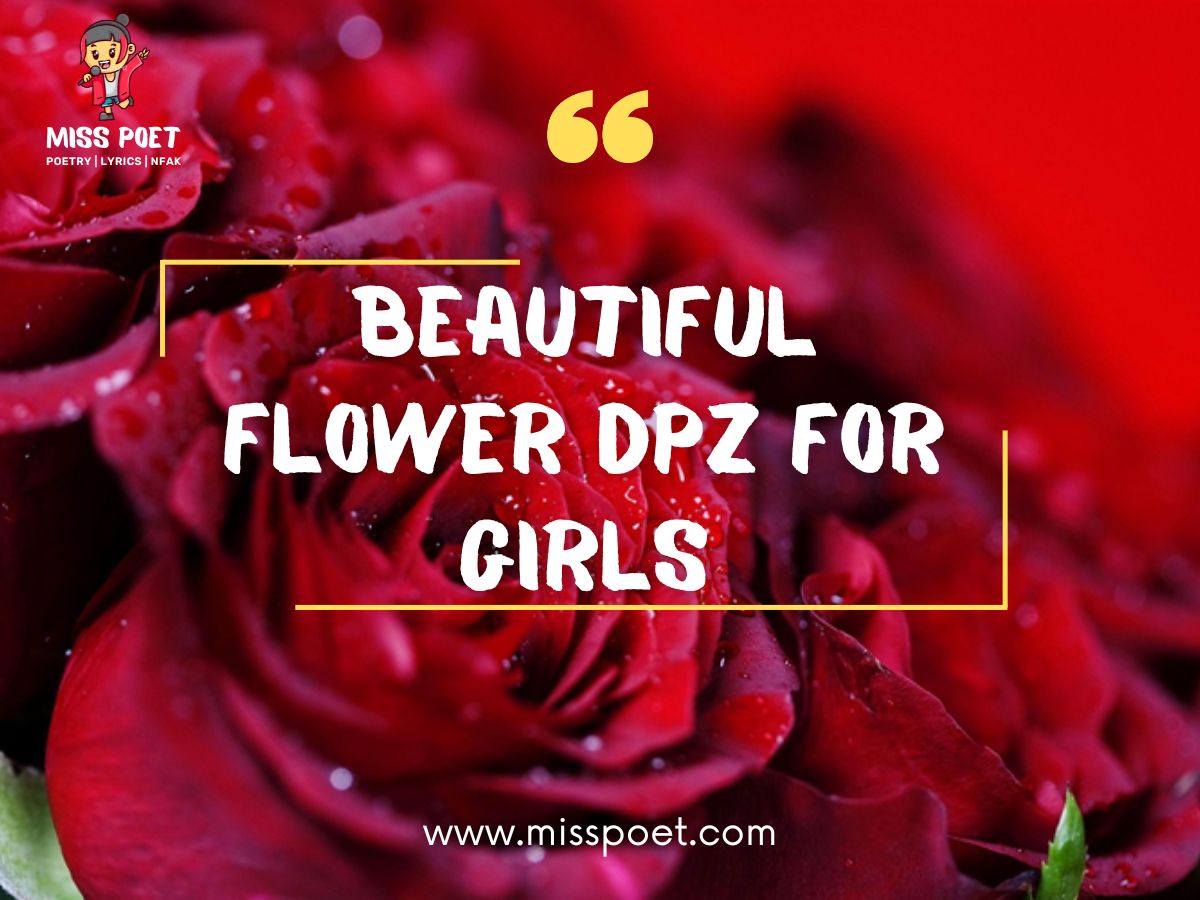 Beautiful Flower DPz For Girls