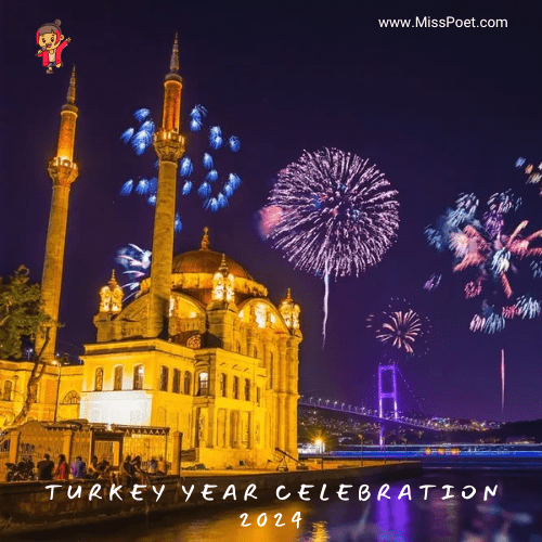 celebrate New Year Eve in Istanbul 2024